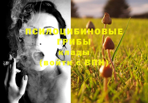 мескалин Арсеньев